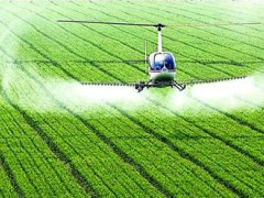 要求強化農(nóng)產(chǎn)品質(zhì)量監(jiān)管 農(nóng)業(yè)生產(chǎn)“三品一標”行動方案發(fā)布