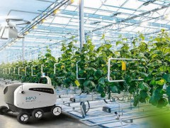 智慧農(nóng)業(yè)建設(shè)迅速 農(nóng)業(yè)機器人迎風發(fā)展