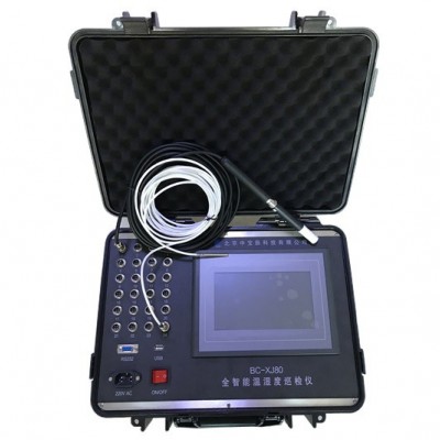 羅卓尼克 BC-XJ80溫濕度巡檢儀